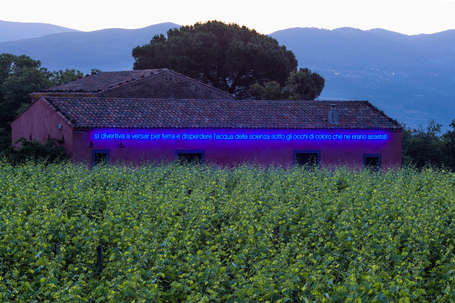 Planeta - Degustazione di vino esclusiva