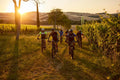 Tenuta Santi Giacomo e Filippo - Il Wine Tour in e-bike