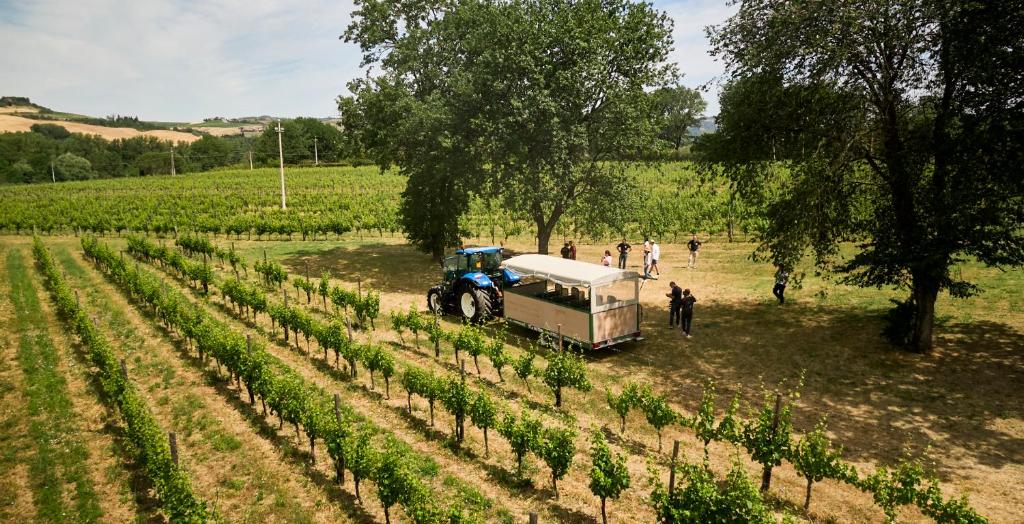 Tenuta Santi Giacomo e Filippo - Il Wine Tour in e-bike Marche Tenuta Santi Giacomo e Filippo