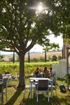 Tenuta Santi Giacomo e Filippo - E-Bike 