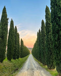 Tenuta di Pietra Porzia - Visita, Degustazione e Aperitivo