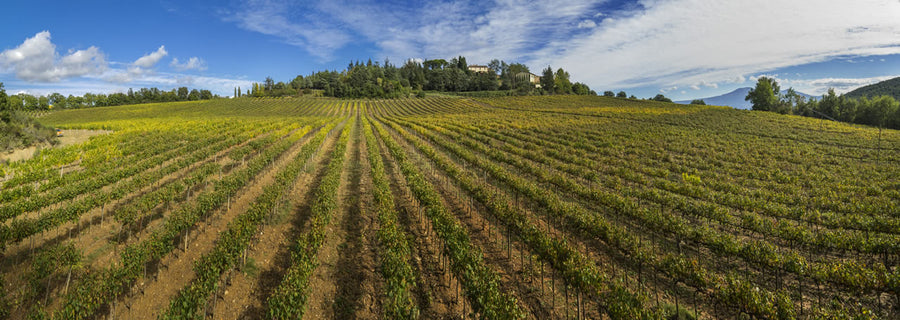 Fattoria dei barbi - Degustazione di vino esclusiva