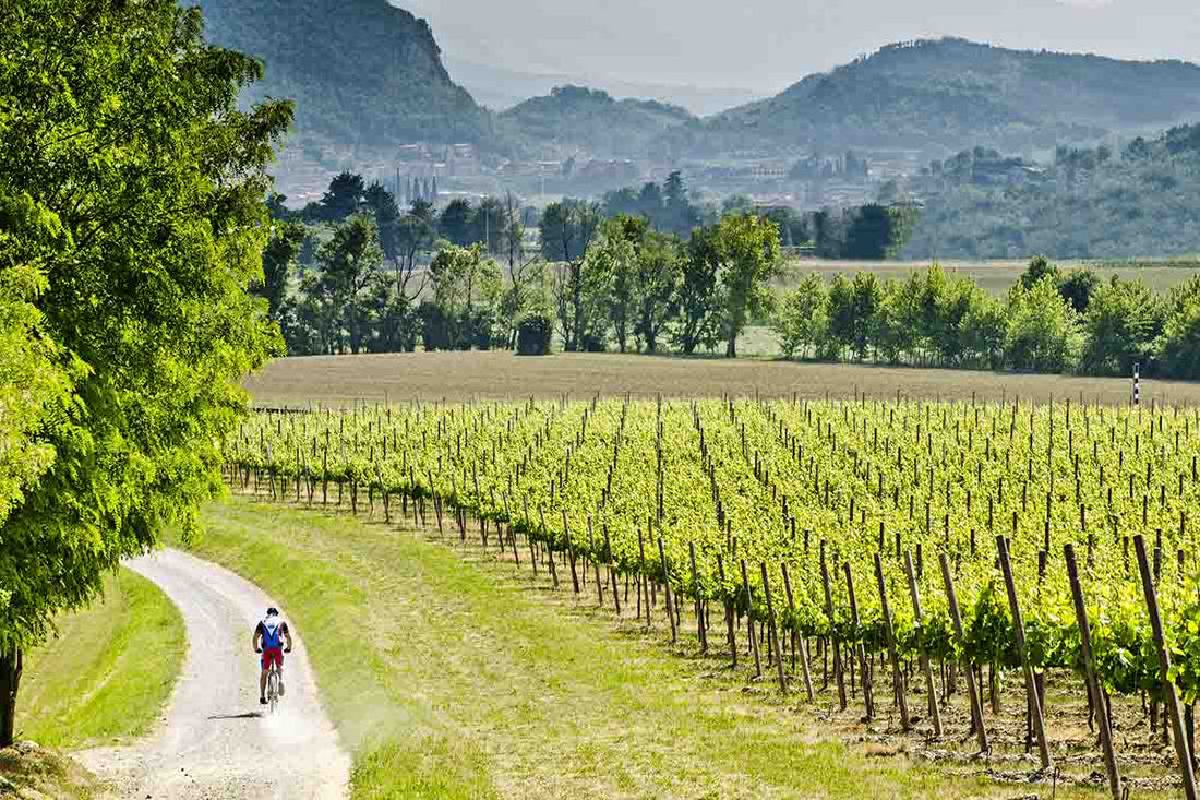 Cantina Moscone - Langa in Piatto - Piemonte