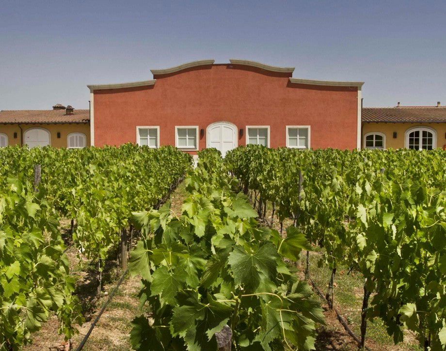 Tenuta Antinori Fattoria Aldrobrandesca - Degustazione di vino esclusiva (