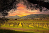 Soggiorno Luxury in Wine Resort - Lombardia