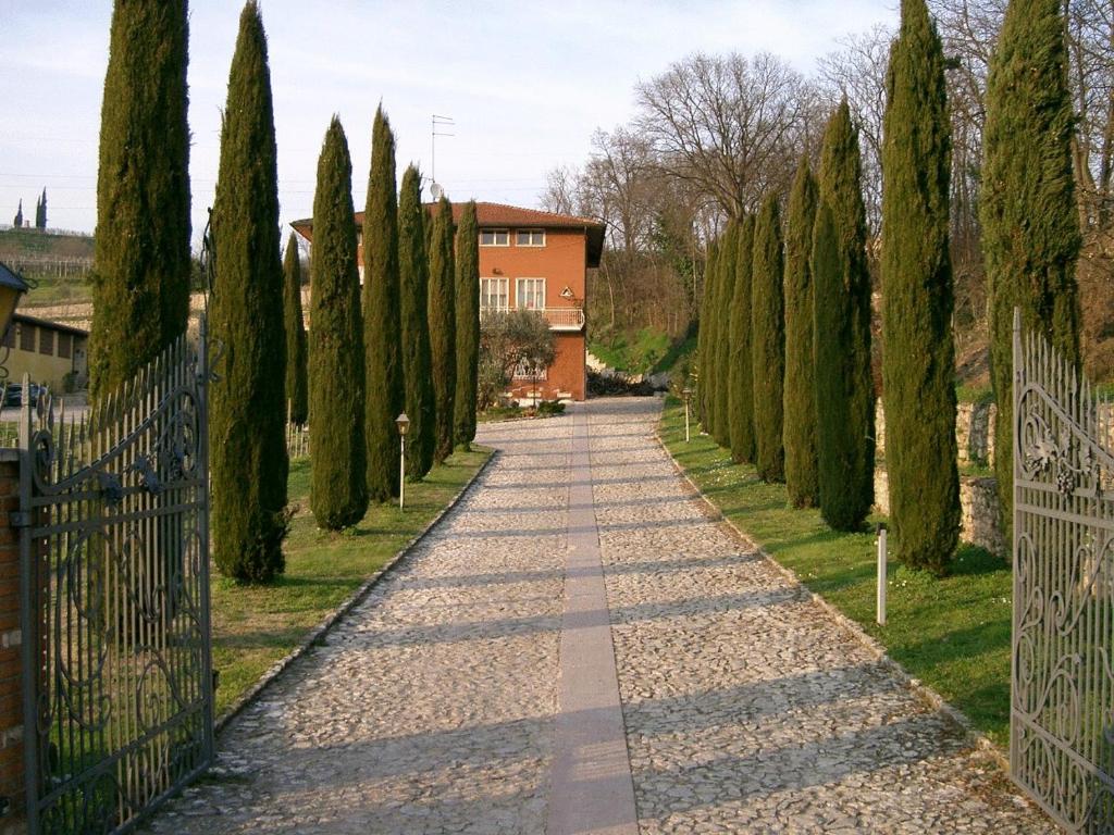 Az.Agr. Montetondo - PERCORSO CLASSICO Veneto Az.Agr. Montetondo