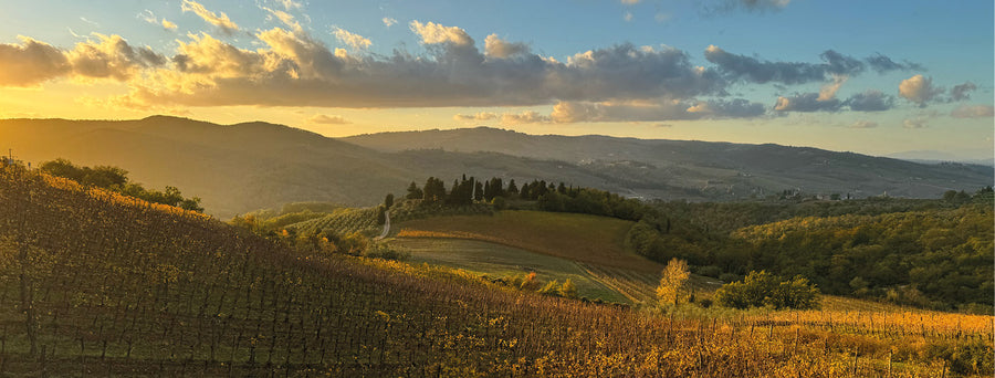 Querciabella - Degustazione di vino esclusiva