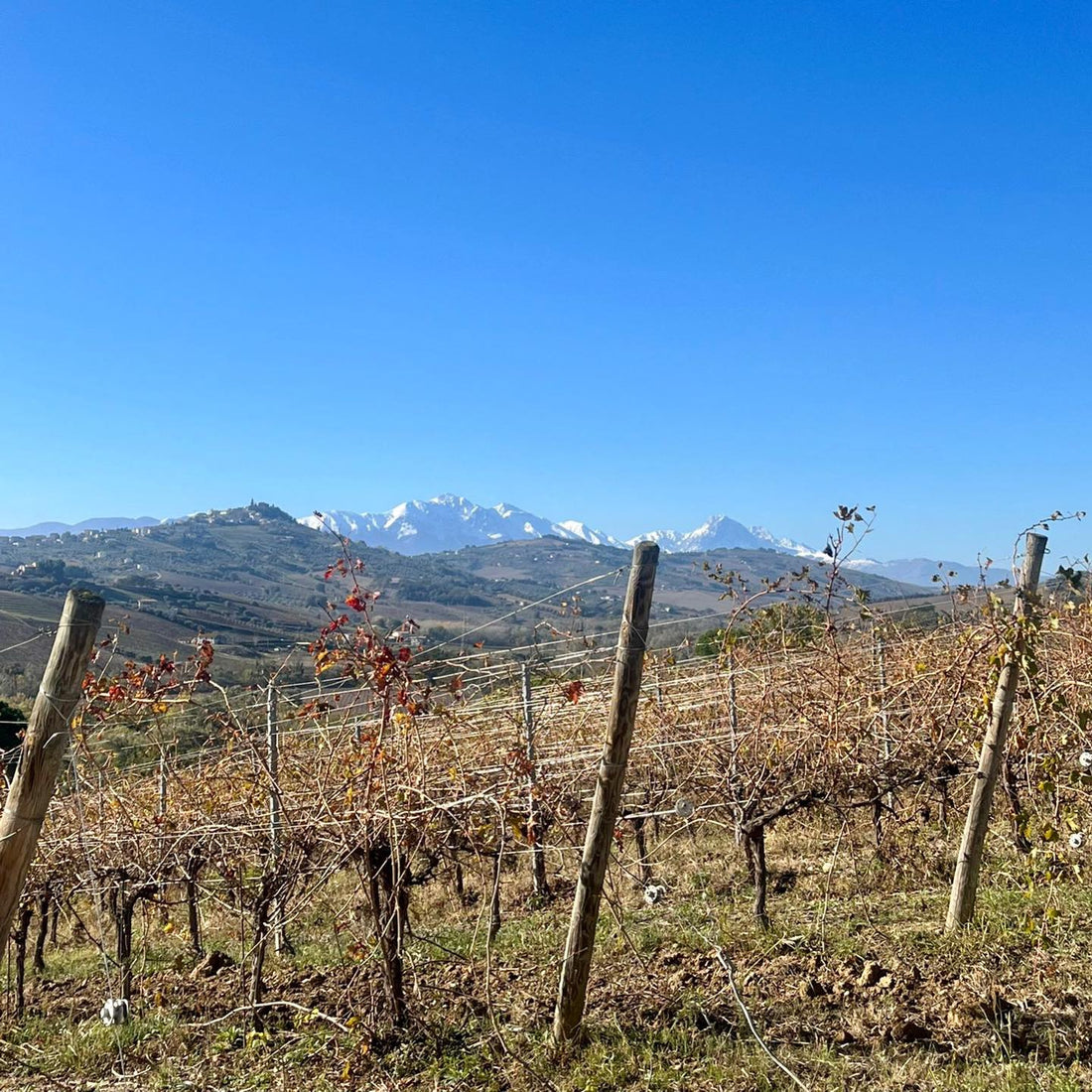 Barone di ValForte - Degustazione DOC - WINERIES