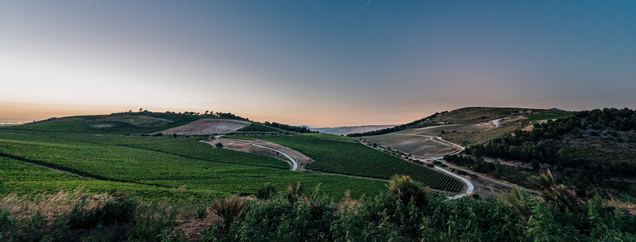 Planeta - Degustazione di vino esclusiva