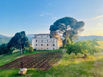 Tenuta Pacelli - Soggiorno & Degustazione