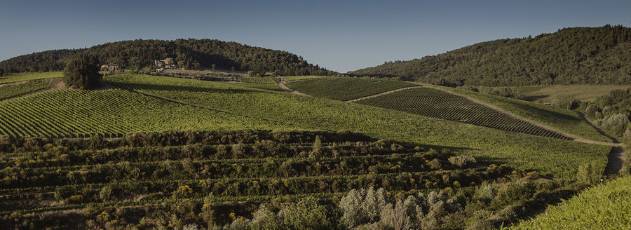 Tenuta Antinori Tignanello - Degustazione di vino esclusiva