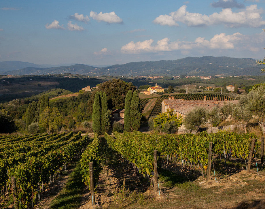 Tenuta Antinori Peppoli - Degustazione di vino esclusiva