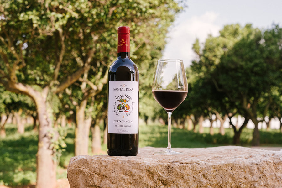 Santa Tresa - Sorsi di identità Sicilia Santa Tresa