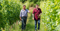Poderi Vaiot - Degustazione Completa