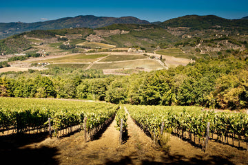 Tenuta Bossi - Degustazione di 3 vini toscani