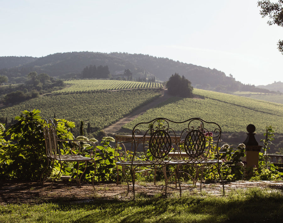 Tenuta Antinori Tignanello - Degustazione di vino esclusiva