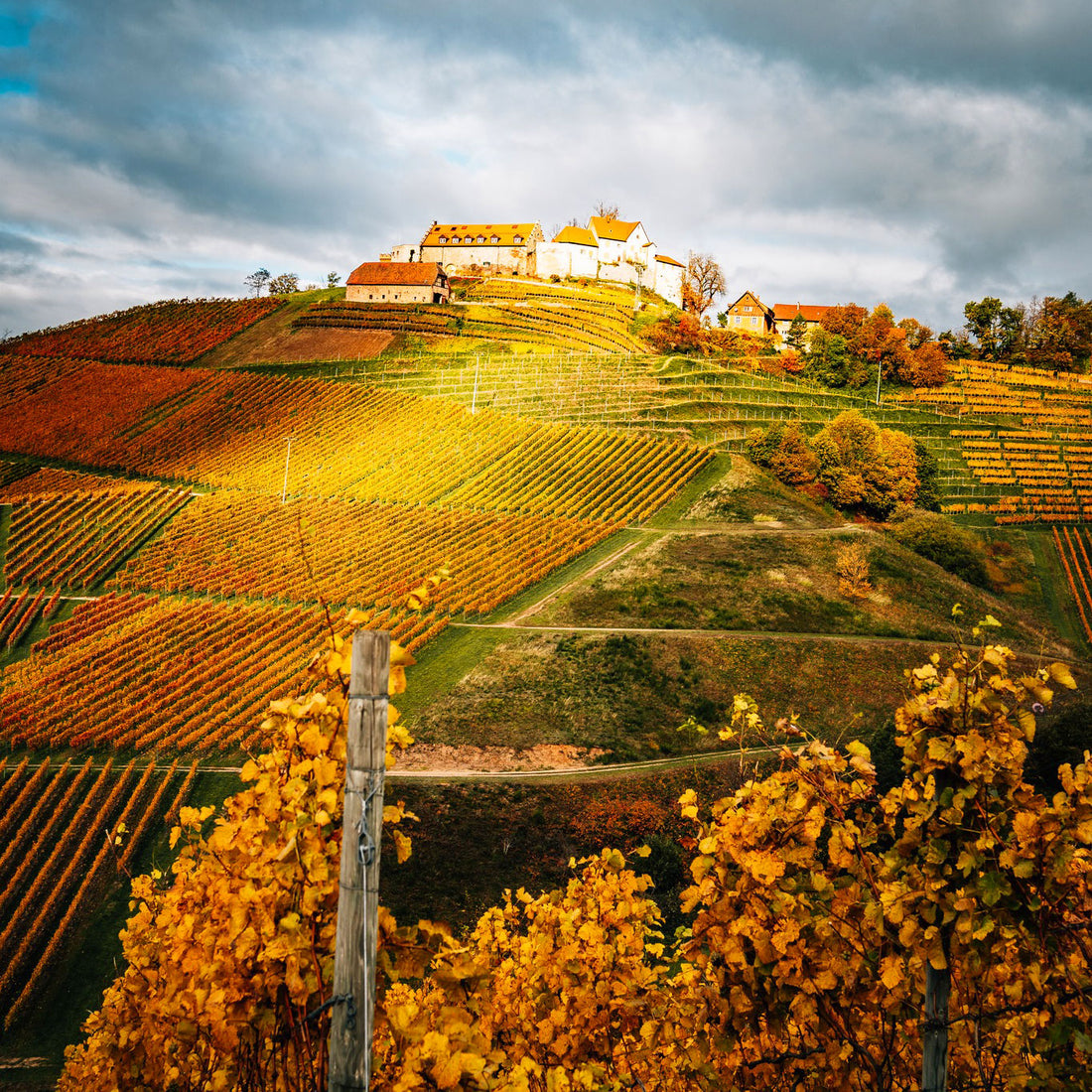 Soggiorno Luxury in Wine Resort - Toscana