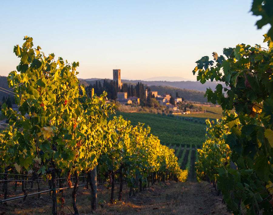 Tenuta Antinori Badia a passignano - Degustazione di vino esclusiva