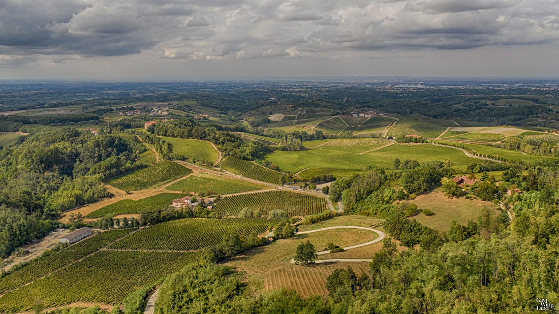 Castello di Tassarolo - Solo Vino - Piemonte