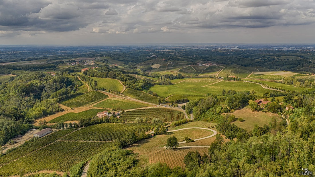 Castello di Tassarolo - Alla Cieca - Piemonte