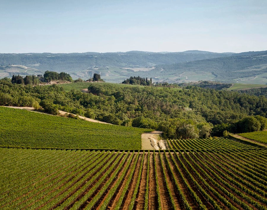 Tenute Antinori Castello della sala - Degustazione di vino esclusiva