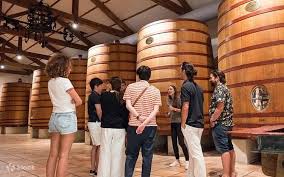 Soggiorno Luxury in Wine Resort - Sardegna
