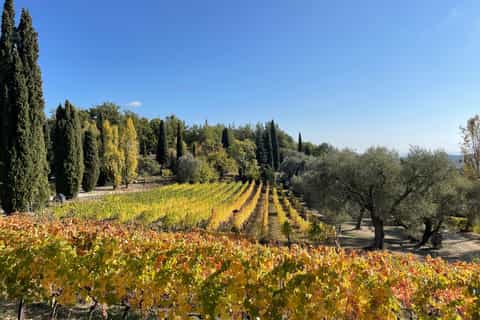 Soggiorno Luxury in Wine Resort - Sardegna