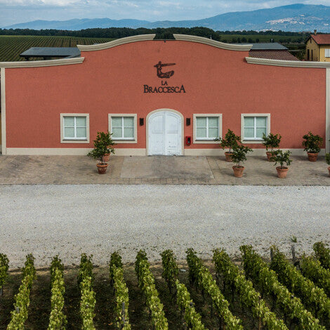 Tenuta Antinori Fattoria Aldrobrandesca - Degustazione di vino esclusiva (