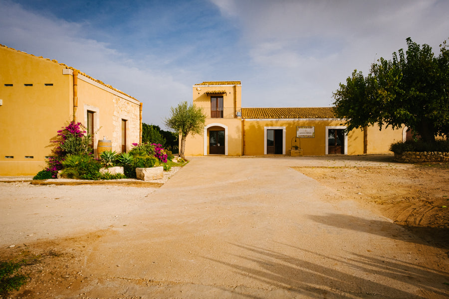 Santa Tresa - Sorsi di identità Sicilia Santa Tresa