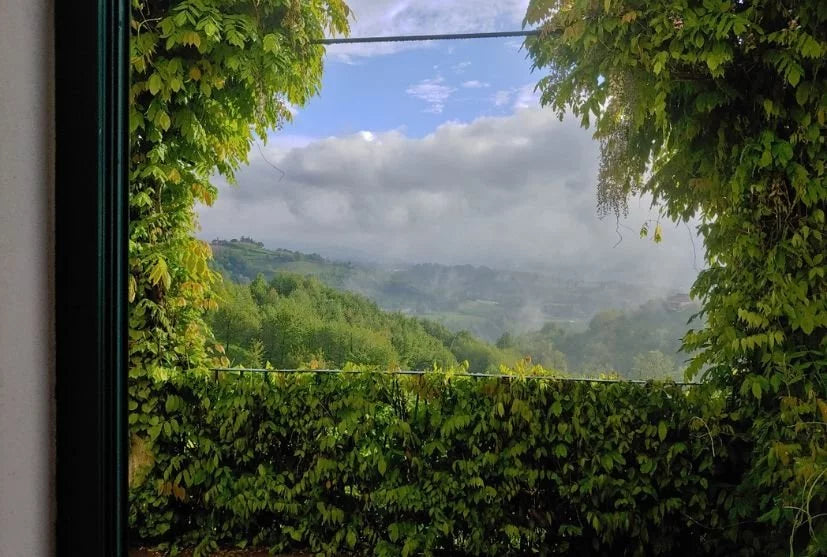 Cantine Luzi Doandei - Degustazione vini Top Piemonte - Piemonte