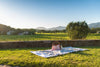 Soggiorno & Degustazione in Wine Resort - Sicilia