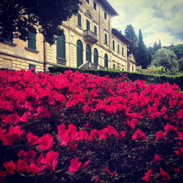 Tenuta Bossi - Le Cinque Sfu﻿mature di Rossi