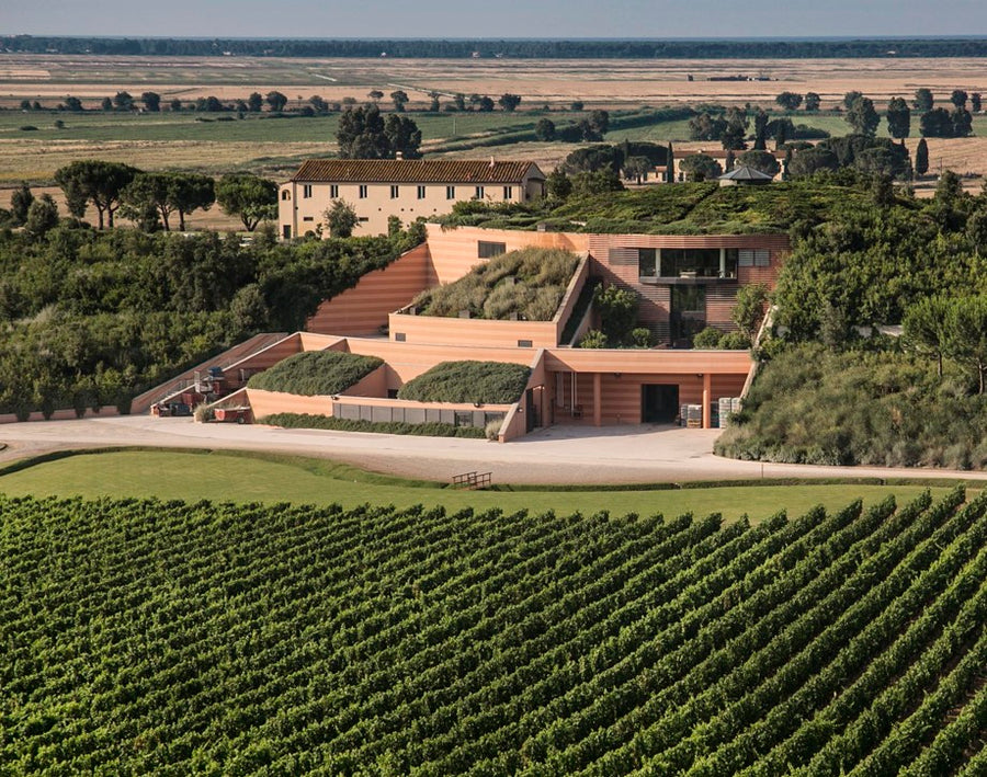 Tenuta Antinori Le Mortelle - Degustazione di vino esclusiva