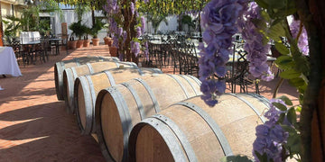 Torciano Winery - Pranzo in Veranda nel Giardino