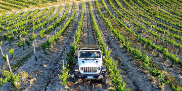 Torciano Winery - Tour dei vigneti in jeep