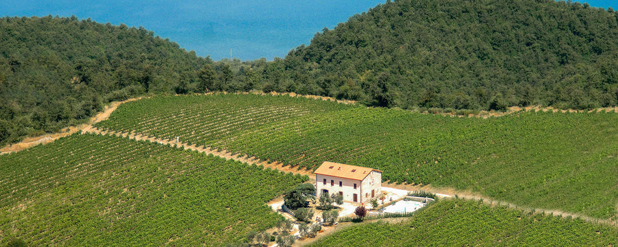 Cantina Leonardi - E-Bike TOUR - Lazio