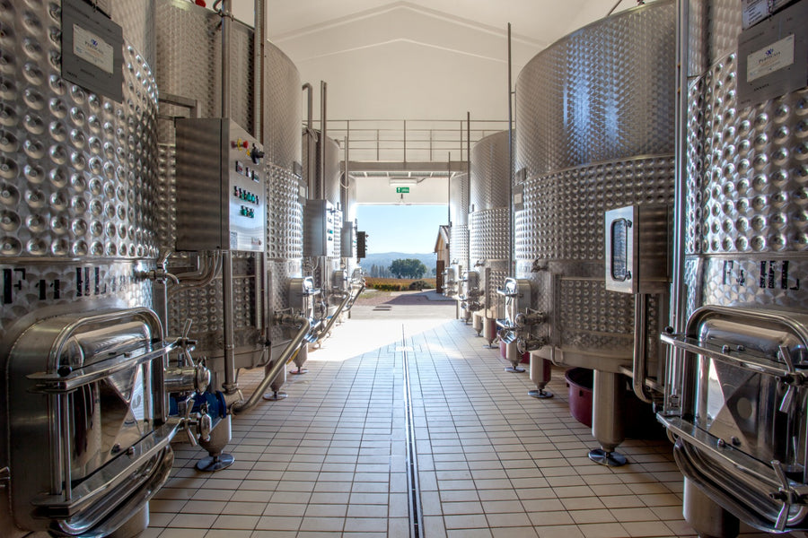 Cantina Perticaia - Wine Experience Exclusive - WINERIES