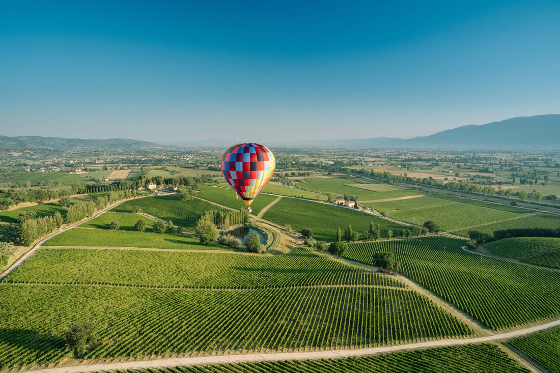 Arnaldo Caprai - MONTEFALCO LAND