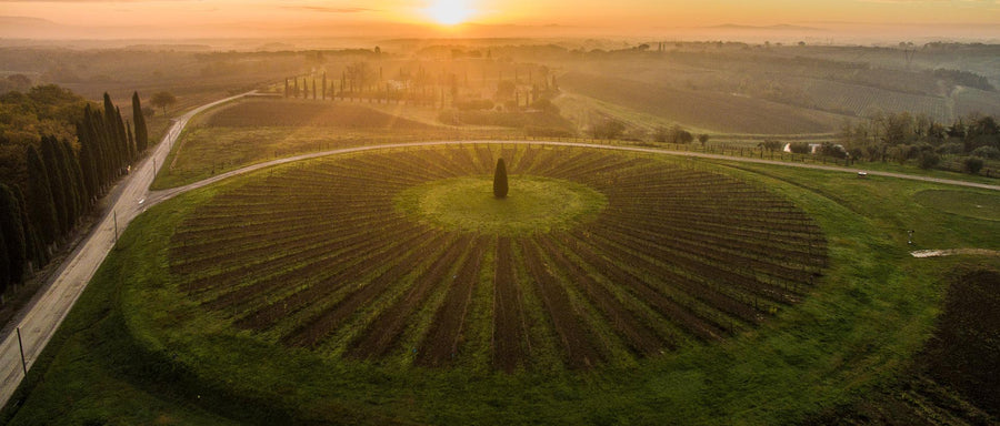 Avignonesi - Degustazione di vino esclusiva