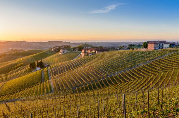 Produttori del barbaresco - Degustazione di vino esclusiva