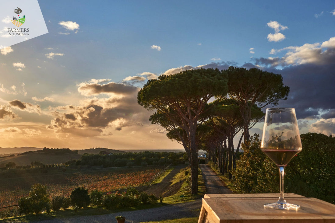 Mazzei Tenuta Belguardo - Degustazione di vino esclusiva