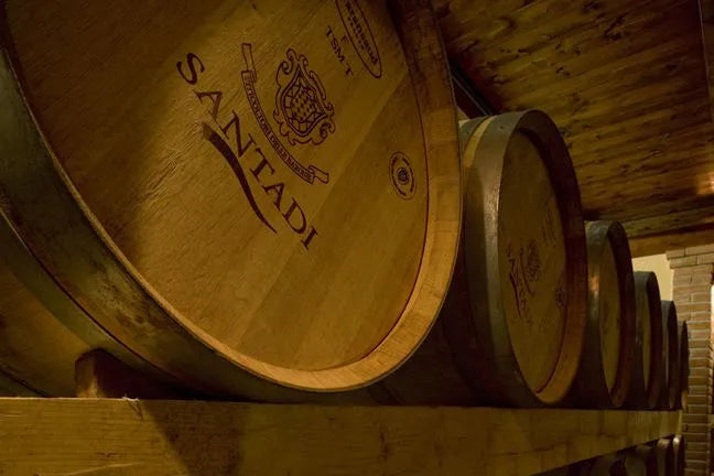 Cantina di santadi - Degustazione di vino esclusiva