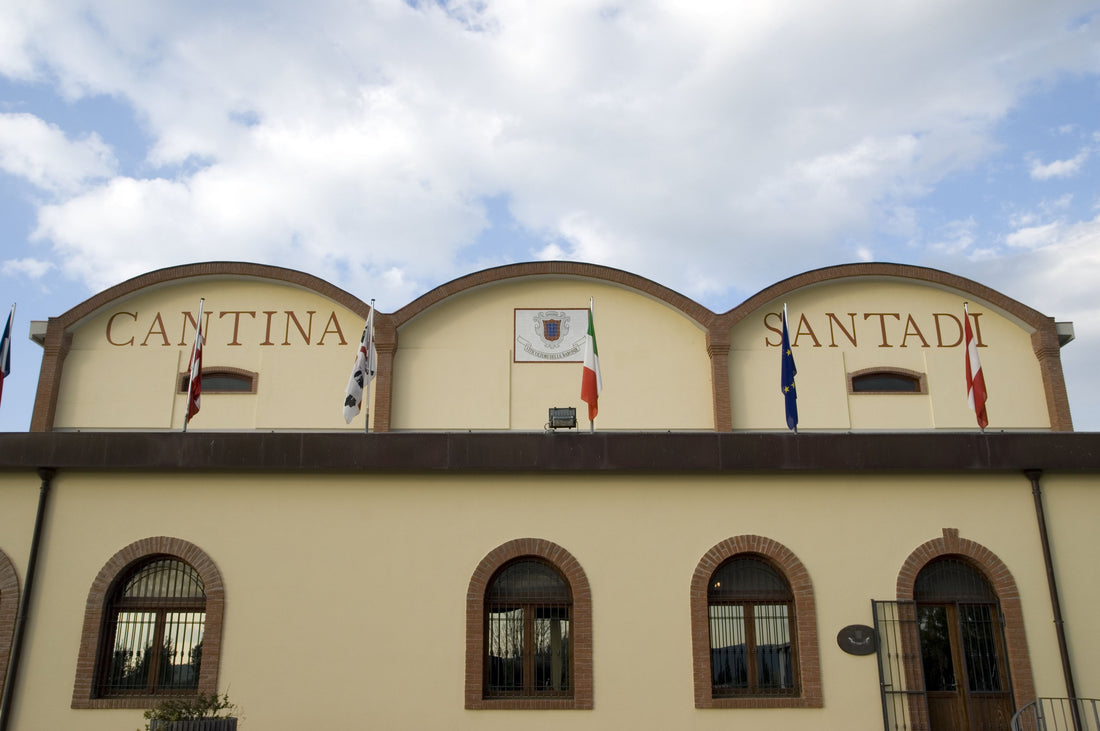 Cantina di santadi - Degustazione di vino esclusiva