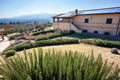 Cantina Perticaia - Wine Experience Exclusive