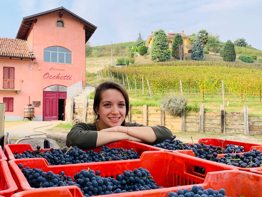 Poderi Moretti - Immersione in Langa e Roero - WINERIES