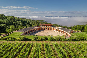 Mazzei Castello di Fonterutoli - Degustazione di vino esclusiva