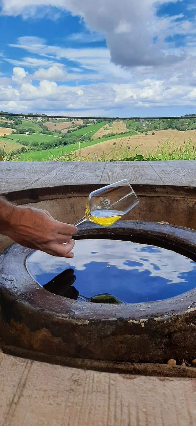 Tenuta San Marcello - “Ancora tanta voglia di conoscere” - WINERIES