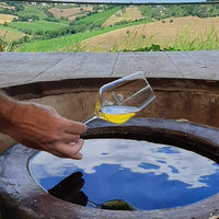 Tenuta San Marcello - Esperienza Gastronomica - WINERIES