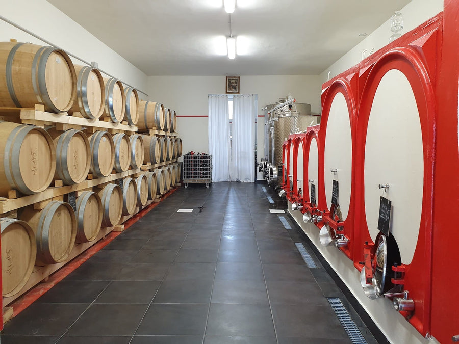 L'Agona - Questi siamo noi - WINERIES