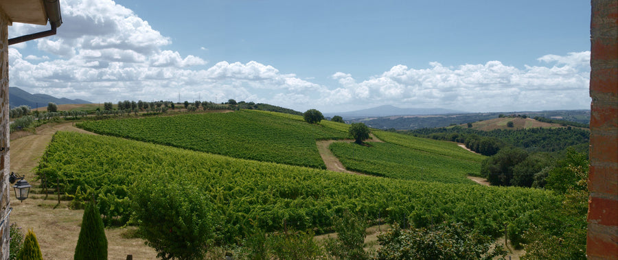 Castello di Corbara - I tesori del lago